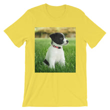 Puppy t-shirt