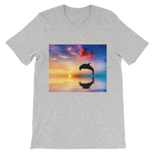 Dolphin t-shirt