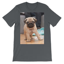 Pug t-shirt