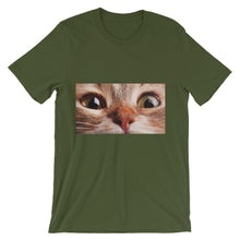 Cat t-shirt
