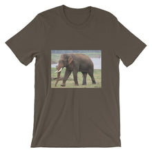 Endangered Species t-shirt
