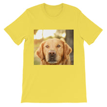 Dog t-shirt