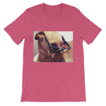 Dog with glasses t-shirt