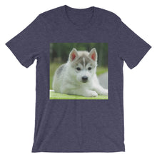 Puppy t-shirt