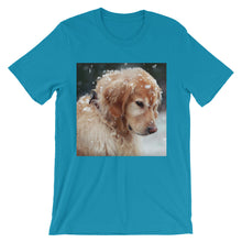 Dog t-shirt