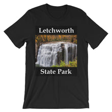 Letchworth t-shirt