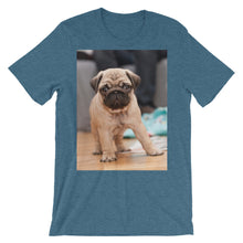 Pug t-shirt