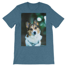 Corgi t-shirt