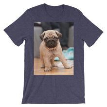 Pug t-shirt