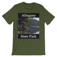 Allegany State Park t-shirt