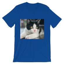 Kitten t-shirt