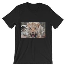 Leopard t-shirt