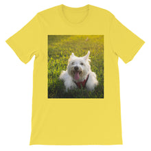 Dog t-shirt