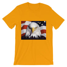 Patriotic t-shirt