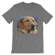 Dog t-shirt