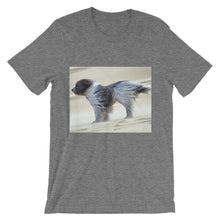 Dog t-shirt