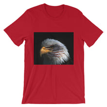 American Eagle t-shirt
