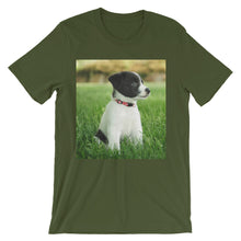 Puppy t-shirt