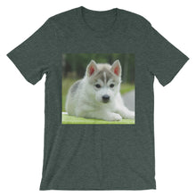 Puppy t-shirt
