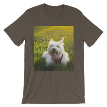 Dog t-shirt