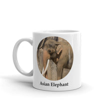 Asian Elephant Mug