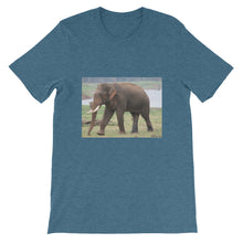 Endangered Species t-shirt