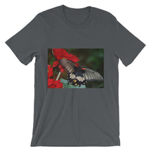 Butterfly t-shirt