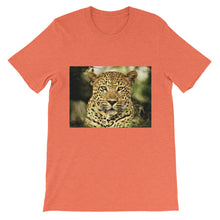 Leopard t-shirt