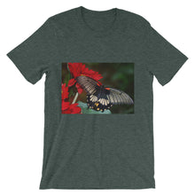 Butterfly t-shirt