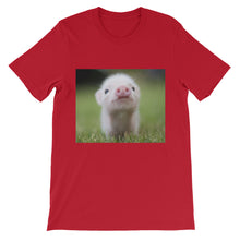 Piglet t-shirt