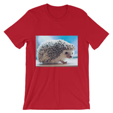 Hedgehog t-shirt