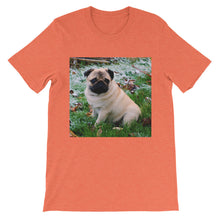 Pug t-shirt