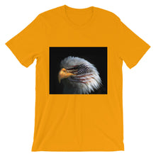 American Eagle t-shirt