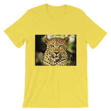 Leopard t-shirt