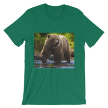 Bear t-shirt