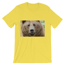Bear t-shirt