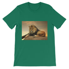 Lion t-shirt