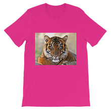 Tiger t-shirt