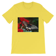 Butterfly t-shirt