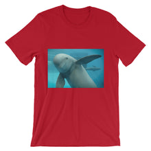 Endangered Species t-shirt