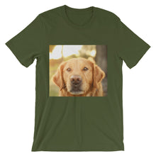 Dog t-shirt
