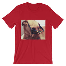 Dog with glasses t-shirt