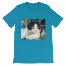 Kitten t-shirt