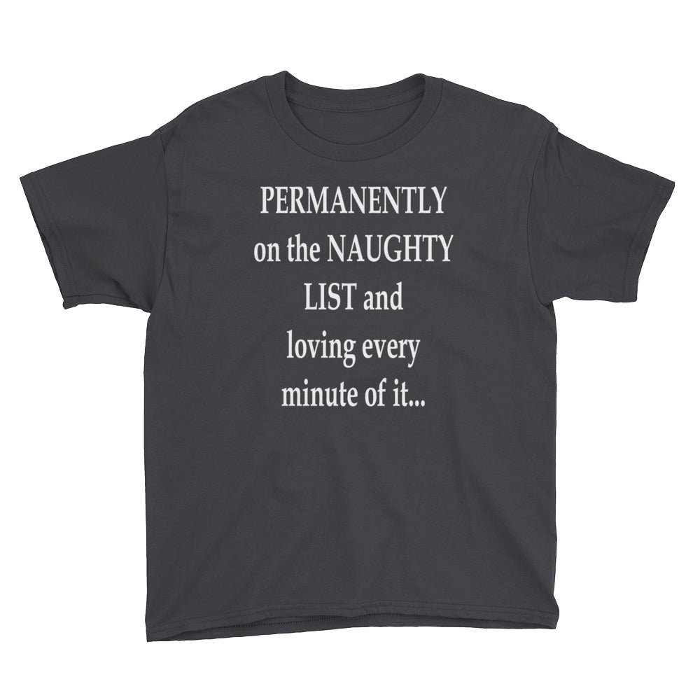 Permanently on the Naughty List Youth Short Sleeve T-Shirt