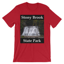 Stony Brook t-shirt
