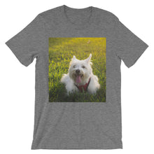 Dog t-shirt
