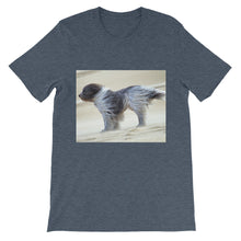 Dog t-shirt