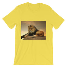 Lion t-shirt