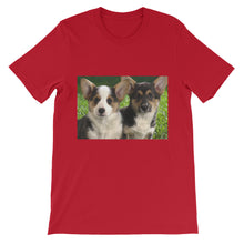 Corgis t-shirt