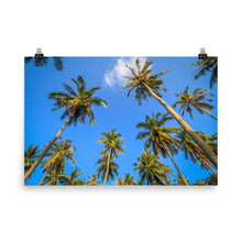 Hawaii poster